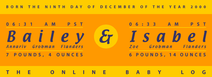 Bailey Annariv Grobman Flanders & Isabel Zoe Grobman Flanders Online Baby Log