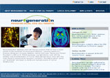 Website Design, Neurogeneration