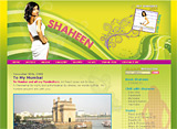 WordPress Musician Website Design -- Shaheen Sheik